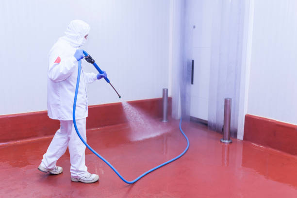 Best Deck and Patio Pressure Washing in West Jefferson, NC